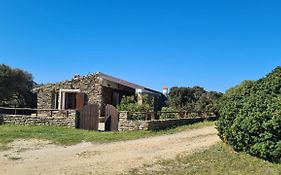 Il Sogno Di Stintino